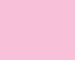 Bright Pink 3033