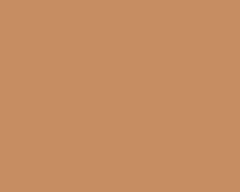 Camel Train 4132