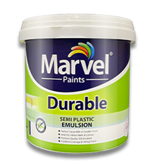 Durable Semi-Plastic Emulsion