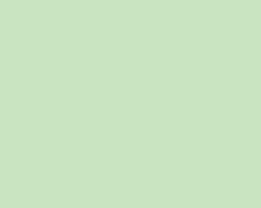 Lime Fizz 5739