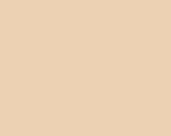 Sand Stone 8285