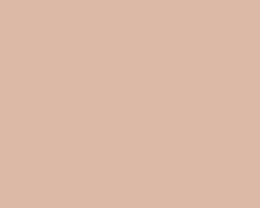 Tea Rose 4058