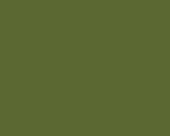 Leaf Green 4016