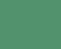 Bamboo Shoot 5732