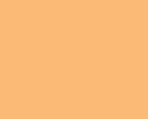Fresh Orange 4102