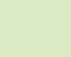 Lime Fizz 4103