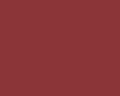 Poppy 4041